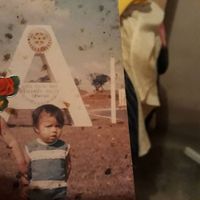 Aparecida Magalhães's Photo