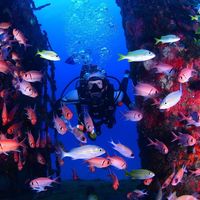 Mauro Fessia's Photo