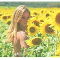 Photos de Willow Wisp