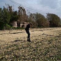 Kathleen  Day's Photo