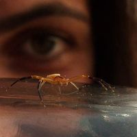 Ioli Tripodaki's Photo