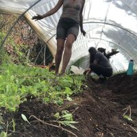 Karina Bocca的照片