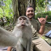 Felipe Vieira的照片