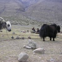 Rosie Gillam's Photo