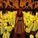 Visit Yayoi Kusama Exhibition together's picture