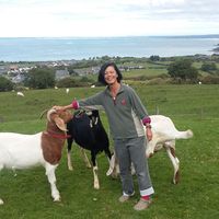 Photos de Libby Khor