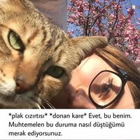 Fotos de Sena Odacı