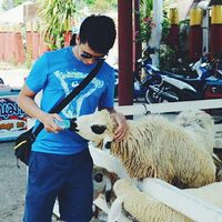 Richmond Bata的照片