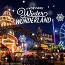 Winter Wonderland - Hyde Park's picture