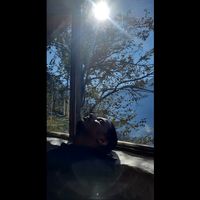 Sanket Balasara's Photo