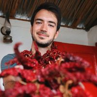 Marko Dzambazoski的照片