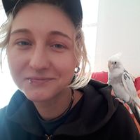 Lisa Schmetterling的照片