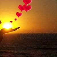 Nujmul Saqib的照片