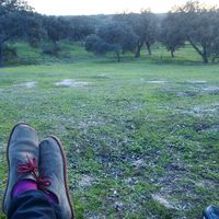 Isabella Faffelberger的照片