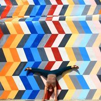 Irene Torreggiani's Photo