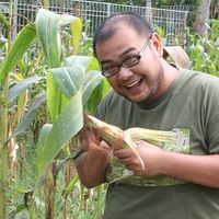 Papa Bakpao的照片