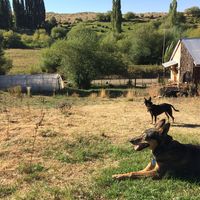 Camila Malter terrada's Photo