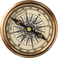 Hans Trappeniers的照片