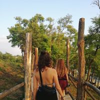 Lynn Steinkamp的照片