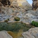 Wadi Qurai! Hike 的照片