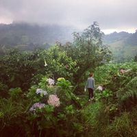 Jessica Smith's Photo