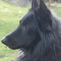 Herman Albers's Photo