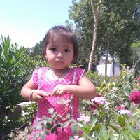 Osho Sindhi的照片