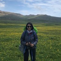 nazanin khalili的照片