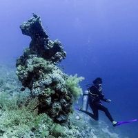 Fotos de Mahmoud Galall