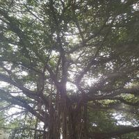 Joshua Jones的照片