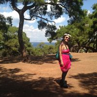 Betula Pendula's Photo