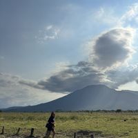 Diah Widyastuti's Photo