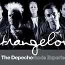 Depeche Mode Tribute's picture
