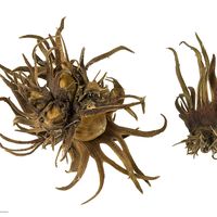 Güven Atabay的照片