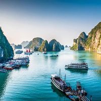 Фотографии пользователя Michael Nguyen