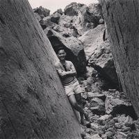 Thanh Nguyen的照片