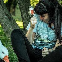 Emilia Tonello的照片