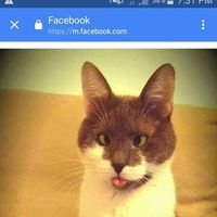 Zahra Zahrald's Photo