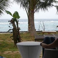 Leslie Vansweevelt's Photo