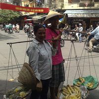 Fotos de Jason Hoang