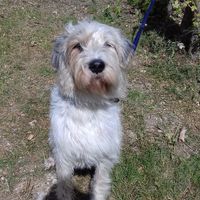 Marjorie Lefebvre's Photo