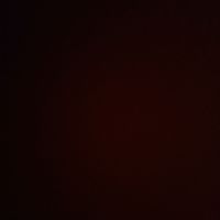 Qwerty qwerty's Photo