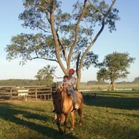 Sami Cámera的照片