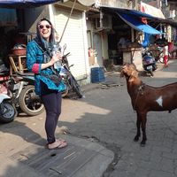 Adele Coulloudon的照片