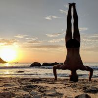 Lenny Milan的照片