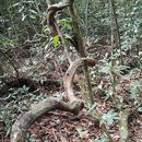 Photo de l'événement Cooking Class - Local Food
