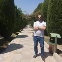 Martin Stone的照片