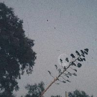 Vüqar Abdullah's Photo