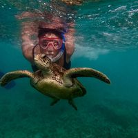 tengchih tsao's Photo