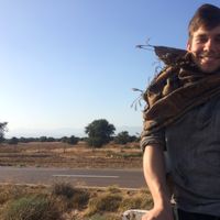 Fotos de Alan Davidson